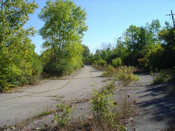 Jackson Motor Speedway - Turn 4 From Mike (newer photo)